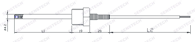 2-Wire PT100 Rtd Sensor Temperature Probe 1/2