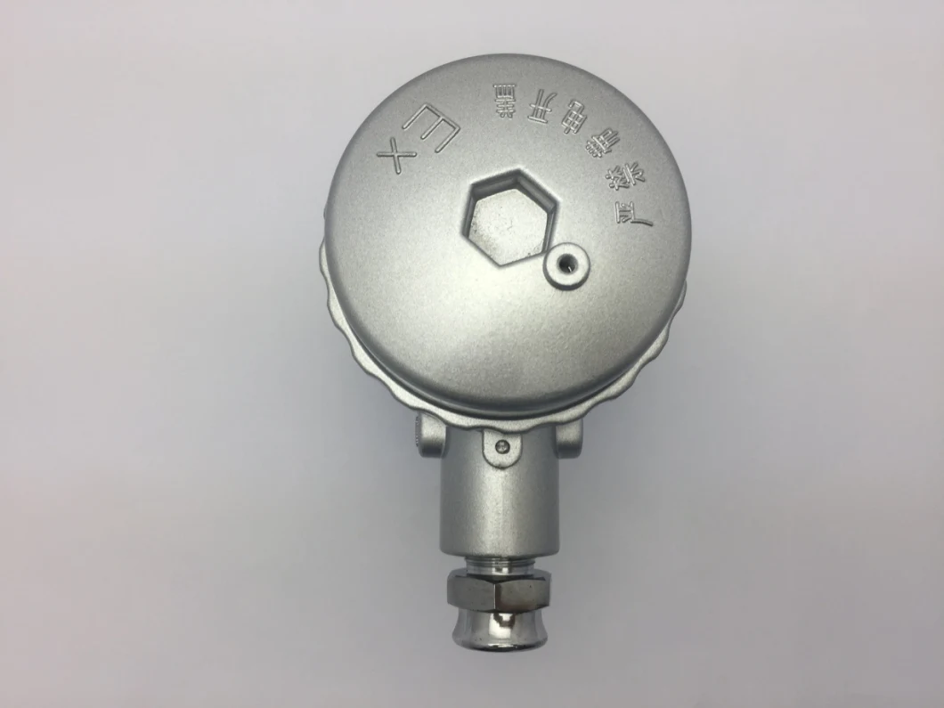 Industrial SS304/316 Kne Thermocouple Head with Terminal Block